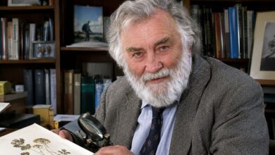 David Bellamy