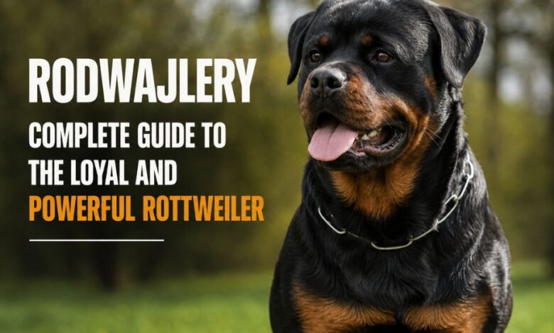 Rodwajlery